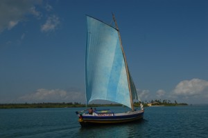 Bahia025