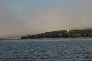 WoodyPoint027
